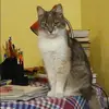 Отзыв от Василиса Миронова